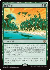 惑星共生/Terrasymbiosis (EOE)