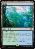 繁殖池/Breeding Pool (EOE)