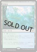 繁殖池/Breeding Pool (EOE)