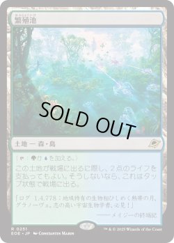 画像1: 繁殖池/Breeding Pool (EOE)
