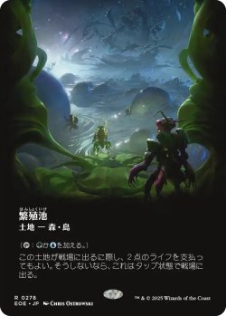 画像1: 繁殖池/Breeding Pool (EOE)【特殊アート版】