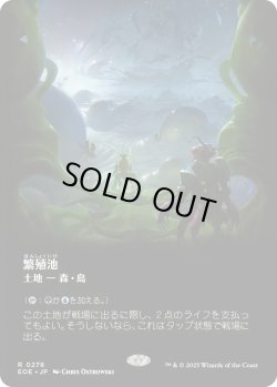画像1: 繁殖池/Breeding Pool (EOE)【特殊アート版】