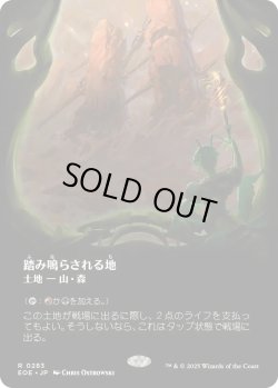 画像1: 踏み鳴らされる地/Stomping Ground (EOE)【特殊アート版】