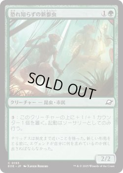 画像1: 恐れ知らずの新参虫/Intrepid Tenderfoot (EOE)