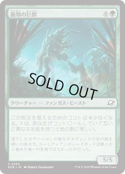画像1: 菌類の巨獣/Fungal Colossus (EOE)