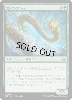 画像1: 発芽するワーム/Germinating Wurm (EOE)