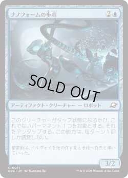 画像1: ナノフォームの歩哨/Nanoform Sentinel (EOE)