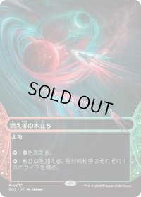 燃え柳の木立ち/Grove of the Burnwillows (EOS)【星景版】