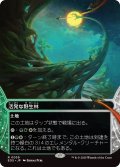 活発な野生林/Stirring Wildwood (EOS)【星景版】