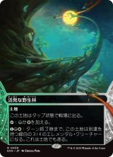 活発な野生林/Stirring Wildwood (EOS)【星景版】