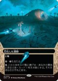 石化した原野/Petrified Field (EOS)【星景版】