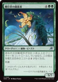 鞭打草の捕食者/Lashwhip Predator (EOE)《Foil》