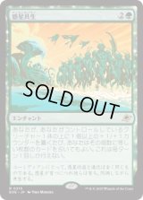 惑星共生/Terrasymbiosis (EOE)《Foil》