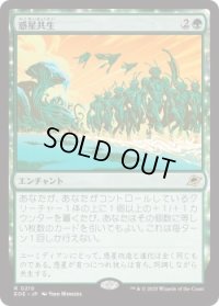 惑星共生/Terrasymbiosis (EOE)《Foil》