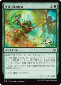 生体合成の発露/Biosynthic Burst (EOE)《Foil》