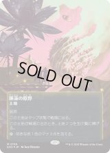 睡蓮の原野/Lotus Field (EOS)【星景ポスター版】【ギャラクシー・フォイル版】