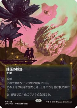 画像1: 睡蓮の原野/Lotus Field (EOS)【星景ポスター版】【ギャラクシー・フォイル版】
