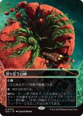 怒り狂う山峡/Raging Ravine (EOS)【星景版】《Foil》