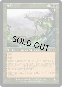 忍耐/Endurance (H2R)