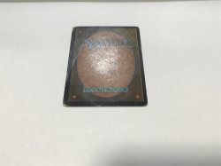 画像3: ガイアの揺籃の地/Gaea's Cradle (USG)【日本語版】【POOR】