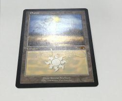 画像2: 平地/Plains (GURU Land)【サインド】