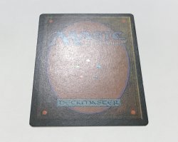 画像3: Tropical Island (3ED)【黒枠・ドイツ語・PLD】
