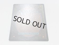 画像3: 島/Island (GURU Land)【サインド】【カウントダウン】