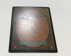 画像3: 平地/Plains (APAC Land 赤)【HPLD】
