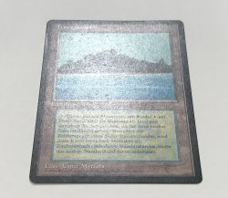 画像2: Tropical Island (3ED)【黒枠・ドイツ語・PLD】