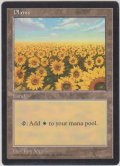 平地/Plains (APAC Land 赤)【HPLD】