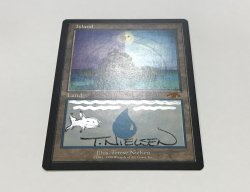画像2: 島/Island (GURU Land)【サインド】