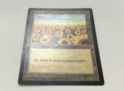 画像2: 平地/Plains (APAC Land 赤)【HPLD】