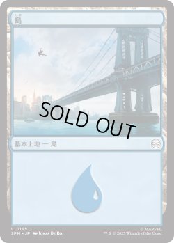 画像1: 島/Island 【No.195】 (SPM)