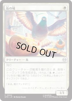 画像1: 街の鳩/City Pigeon (SPM)