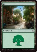 森/Forest 【No.198】 (SPM)