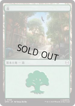 画像1: 森/Forest 【No.198】 (SPM)