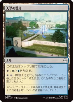 画像1: 大学の敷地/University Campus (SPM)《Foil》