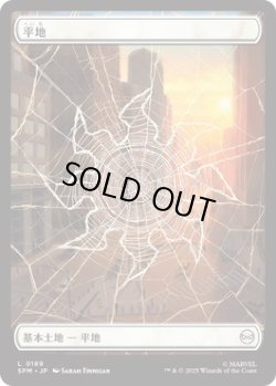 画像1: 平地/Plains 【スパイダーウェブ版】 (SPM)《Foil》