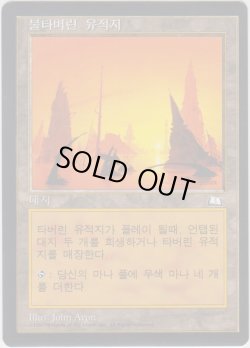 画像1: 焦土/Scorched Ruins (WTH)【他言語特集】