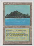 Tropical Island 【EX〜EX-】 (3ED)【他言語】【カウントダウン】