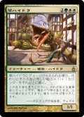 草ハイドラ/Phytohydra (RAV)《Foil》