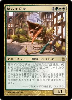 画像1: 草ハイドラ/Phytohydra (RAV)《Foil》