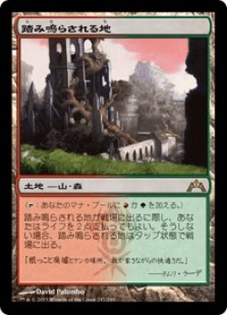 画像1: 踏み鳴らされる地/Stomping Ground (GTC)