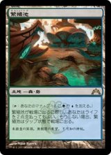 繁殖池/Breeding Pool (GTC)