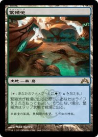 繁殖池/Breeding Pool (GTC)