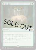 生命の遺産/Life's Legacy (M15)《Foil》