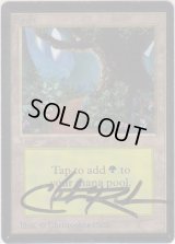 森/Forest 【Ver.3】 (LEB)【サインド】