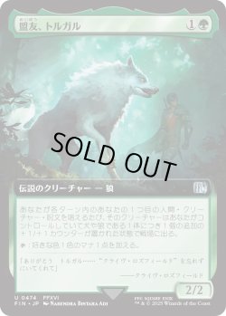 画像1: 盟友、トルガル/Torgal, A Fine Hound (FIN)【拡張アート版】