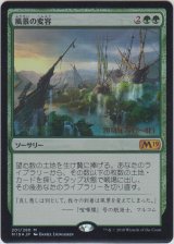 風景の変容/Scapeshift 【プレリ版】 (M19)【ジョニーのおすすめ】