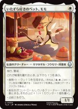 いたずら好きのペット、モモ/Momo, Playful Pet (TLA)